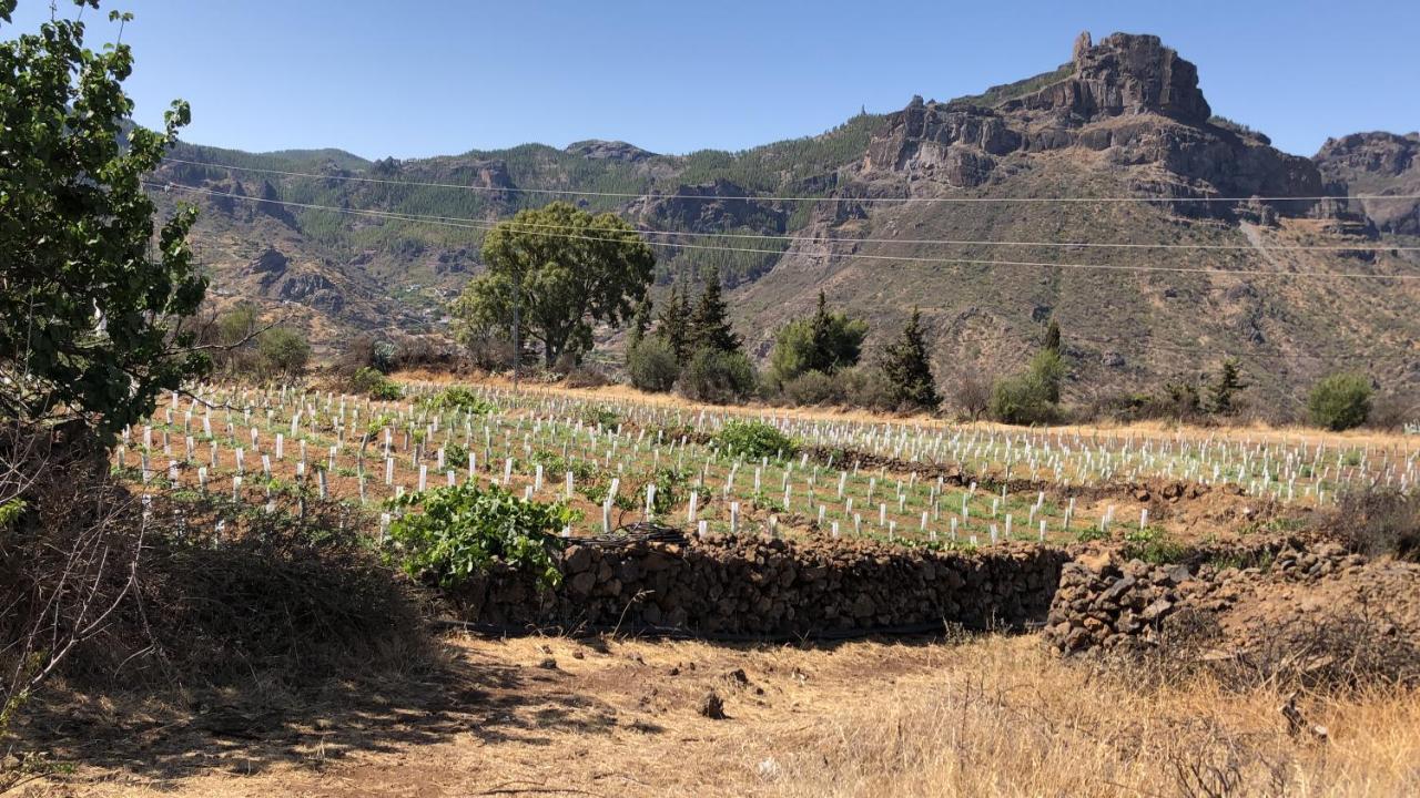 Casa-Finca El Maipez De Tejeda ลาสปัลมาส เด กรานคานาเรีย ภายนอก รูปภาพ