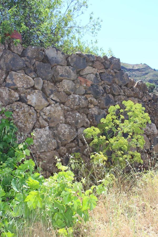 Casa-Finca El Maipez De Tejeda ลาสปัลมาส เด กรานคานาเรีย ภายนอก รูปภาพ