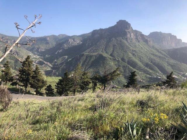 Casa-Finca El Maipez De Tejeda ลาสปัลมาส เด กรานคานาเรีย ภายนอก รูปภาพ