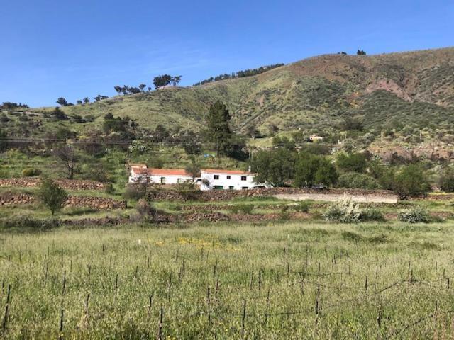 Casa-Finca El Maipez De Tejeda ลาสปัลมาส เด กรานคานาเรีย ภายนอก รูปภาพ