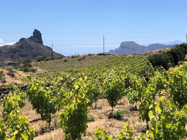 Casa-Finca El Maipez De Tejeda ลาสปัลมาส เด กรานคานาเรีย ภายนอก รูปภาพ