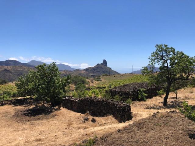 Casa-Finca El Maipez De Tejeda ลาสปัลมาส เด กรานคานาเรีย ภายนอก รูปภาพ