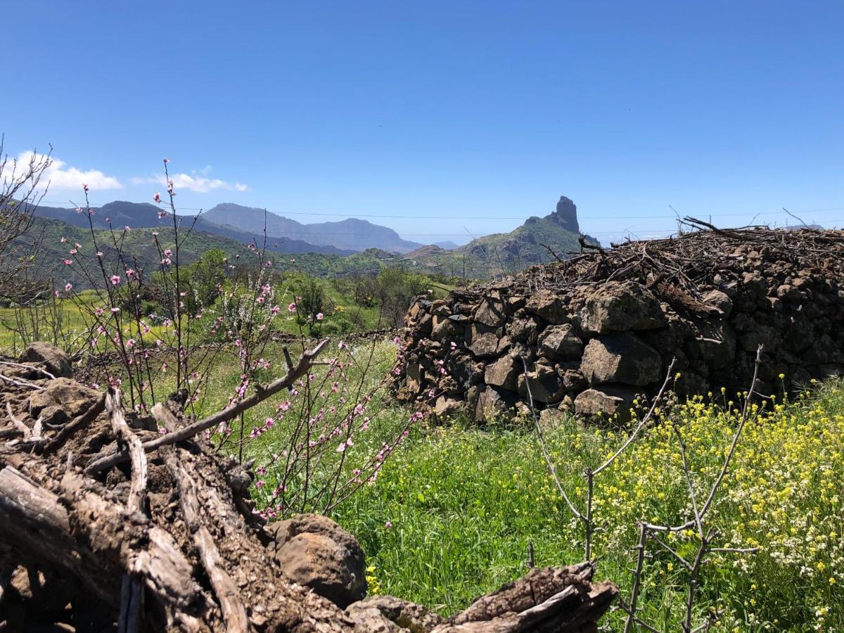Casa-Finca El Maipez De Tejeda ลาสปัลมาส เด กรานคานาเรีย ภายนอก รูปภาพ