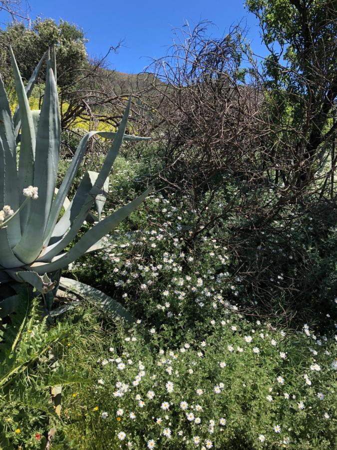 Casa-Finca El Maipez De Tejeda ลาสปัลมาส เด กรานคานาเรีย ภายนอก รูปภาพ