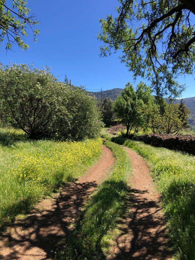 Casa-Finca El Maipez De Tejeda ลาสปัลมาส เด กรานคานาเรีย ภายนอก รูปภาพ