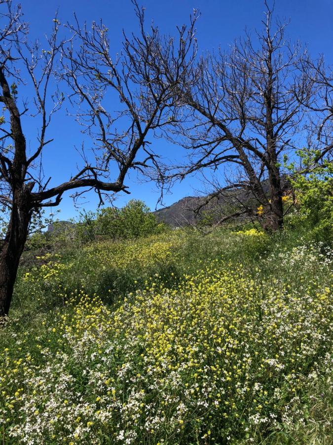 Casa-Finca El Maipez De Tejeda ลาสปัลมาส เด กรานคานาเรีย ภายนอก รูปภาพ
